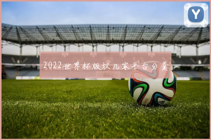 2022世界杯版权几家平台分羹