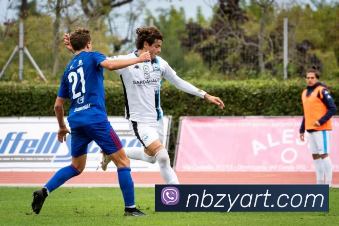 App Interface Preview